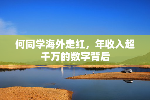何同学海外走红，年收入超千万的数字背后