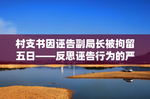 村支书因诬告副局长被拘留五日——反思诬告行为的严重后果