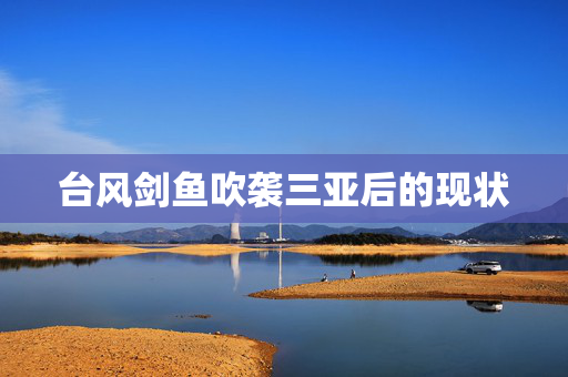 台风剑鱼吹袭三亚后的现状