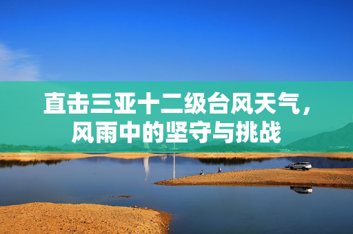 直击三亚十二级台风天气，风雨中的坚守与挑战