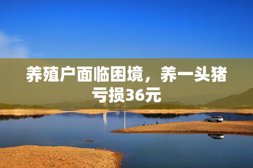 养殖户面临困境，养一头猪亏损36元