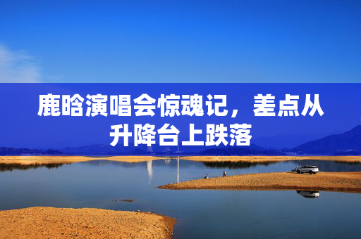 鹿晗演唱会惊魂记，差点从升降台上跌落