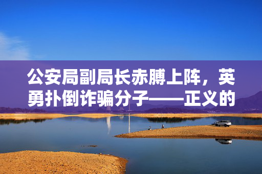 公安局副局长赤膊上阵，英勇扑倒诈骗分子——正义的胜利