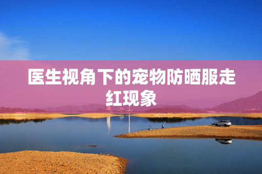 医生视角下的宠物防晒服走红现象