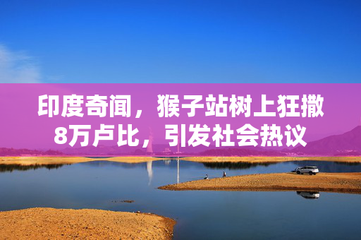 印度奇闻，猴子站树上狂撒8万卢比，引发社会热议
