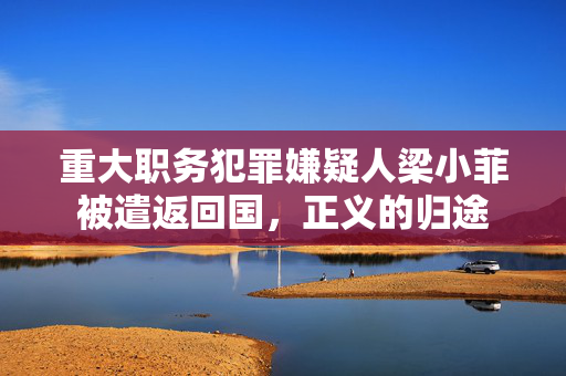 重大职务犯罪嫌疑人梁小菲被遣返回国，正义的归途