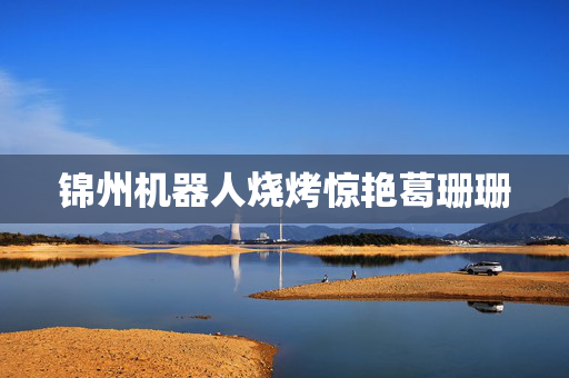 锦州机器人烧烤惊艳葛珊珊
