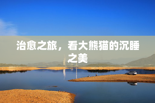 治愈之旅，看大熊猫的沉睡之美