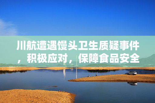 川航遭遇馒头卫生质疑事件，积极应对，保障食品安全