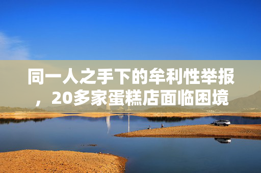 同一人之手下的牟利性举报，20多家蛋糕店面临困境