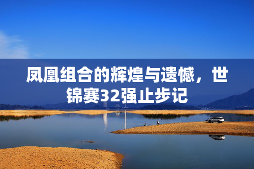 凤凰组合的辉煌与遗憾，世锦赛32强止步记