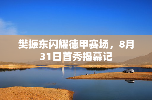 樊振东闪耀德甲赛场，8月31日首秀揭幕记