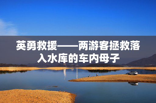 英勇救援——两游客拯救落入水库的车内母子