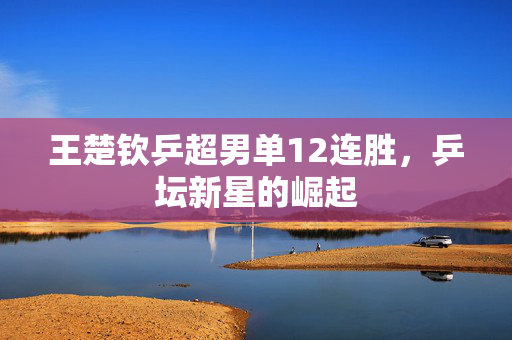 王楚钦乒超男单12连胜，乒坛新星的崛起