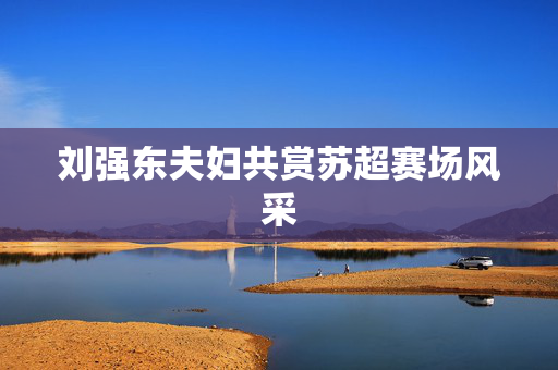 刘强东夫妇共赏苏超赛场风采