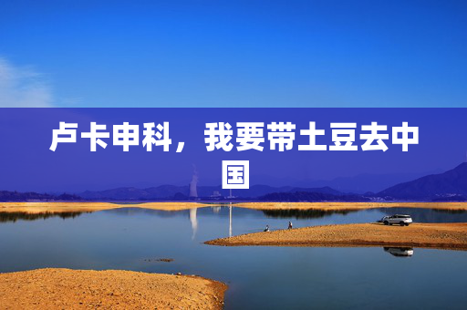 卢卡申科，我要带土豆去中国