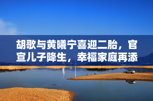 胡歌与黄曦宁喜迎二胎，官宣儿子降生，幸福家庭再添新篇章