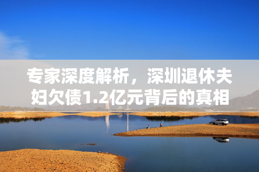 专家深度解析，深圳退休夫妇欠债1.2亿元背后的真相