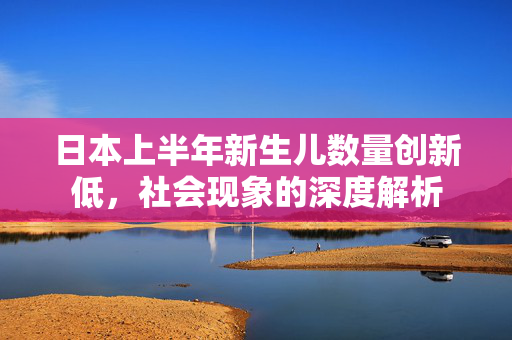 日本上半年新生儿数量创新低，社会现象的深度解析