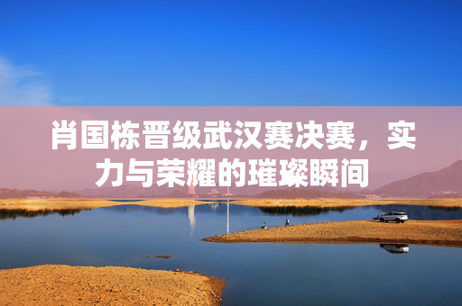 肖国栋晋级武汉赛决赛，实力与荣耀的璀璨瞬间