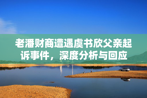 老潘财商遭遇虞书欣父亲起诉事件，深度分析与回应