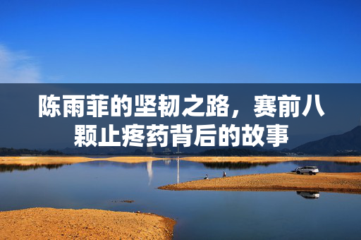 陈雨菲的坚韧之路，赛前八颗止疼药背后的故事