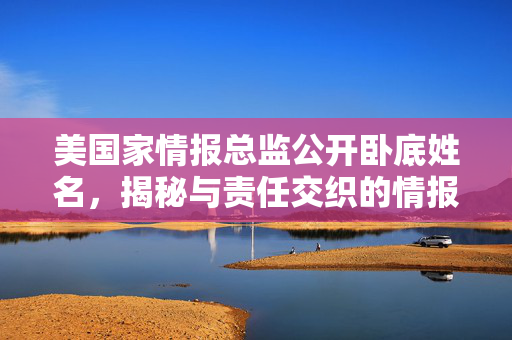 美国家情报总监公开卧底姓名，揭秘与责任交织的情报工作