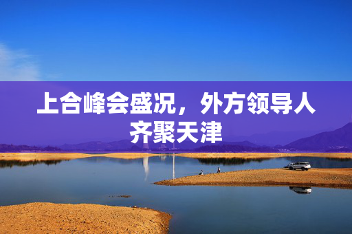 上合峰会盛况，外方领导人齐聚天津
