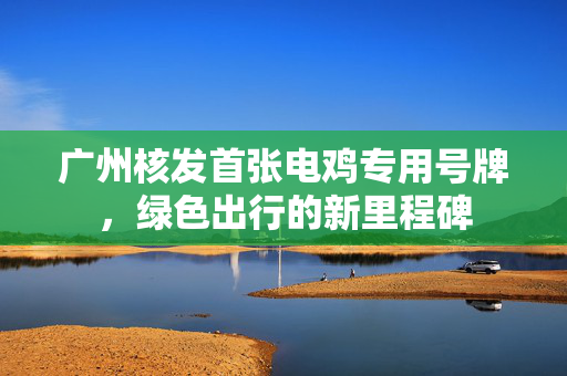 广州核发首张电鸡专用号牌，绿色出行的新里程碑