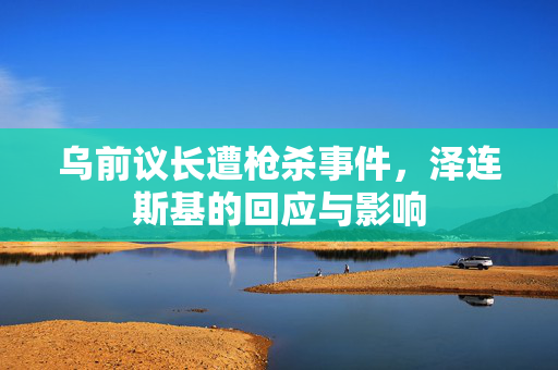 乌前议长遭枪杀事件，泽连斯基的回应与影响