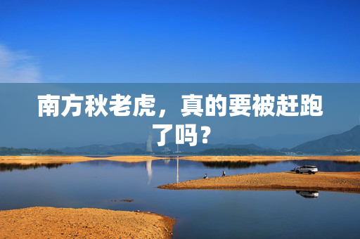 南方秋老虎，真的要被赶跑了吗？