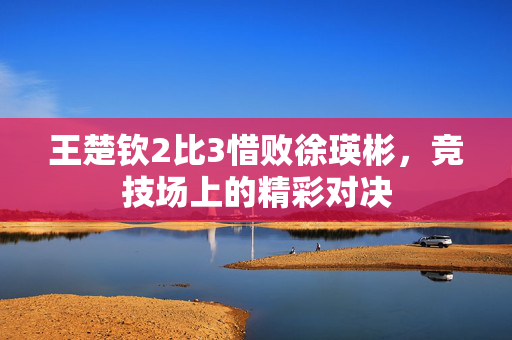 王楚钦2比3惜败徐瑛彬，竞技场上的精彩对决