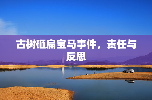 古树砸扁宝马事件，责任与反思