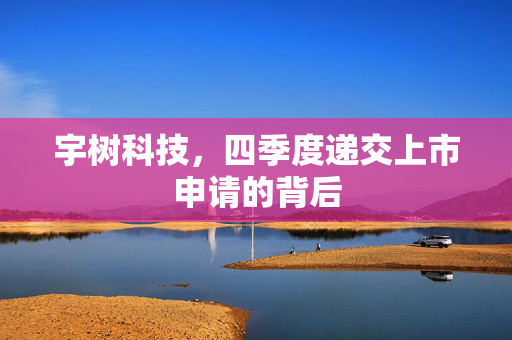 宇树科技，四季度递交上市申请的背后