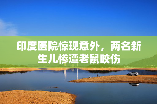 印度医院惊现意外，两名新生儿惨遭老鼠咬伤