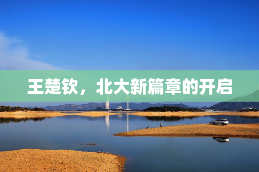 王楚钦，北大新篇章的开启