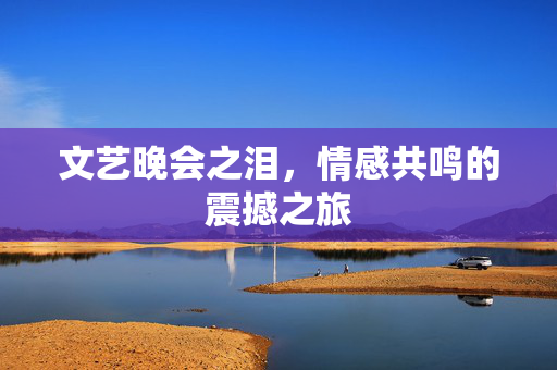 文艺晚会之泪，情感共鸣的震撼之旅