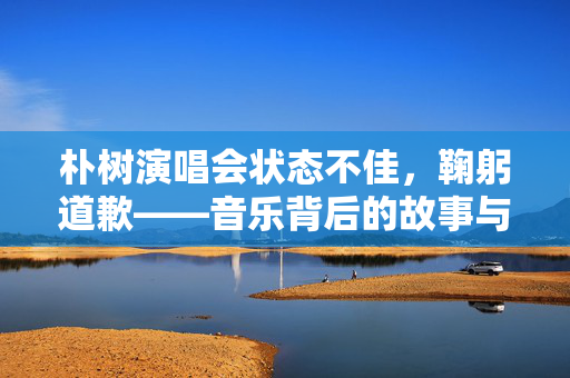 朴树演唱会状态不佳，鞠躬道歉——音乐背后的故事与反思