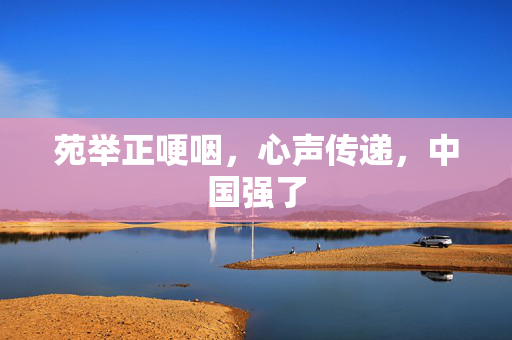 苑举正哽咽，心声传递，中国强了