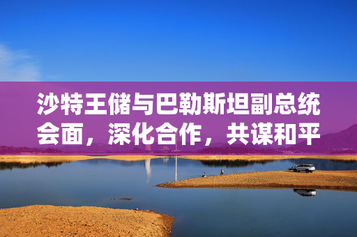 沙特王储与巴勒斯坦副总统会面，深化合作，共谋和平