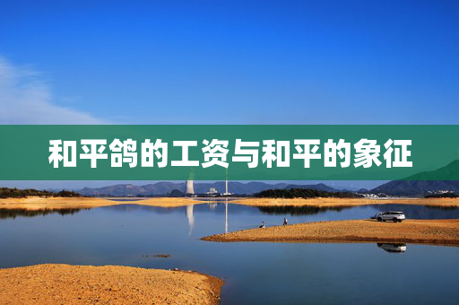 和平鸽的工资与和平的象征