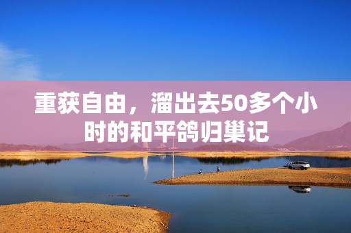 重获自由，溜出去50多个小时的和平鸽归巢记