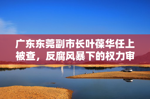 广东东莞副市长叶葆华任上被查，反腐风暴下的权力审视