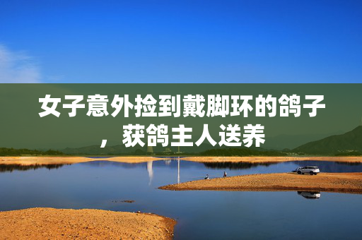 女子意外捡到戴脚环的鸽子，获鸽主人送养
