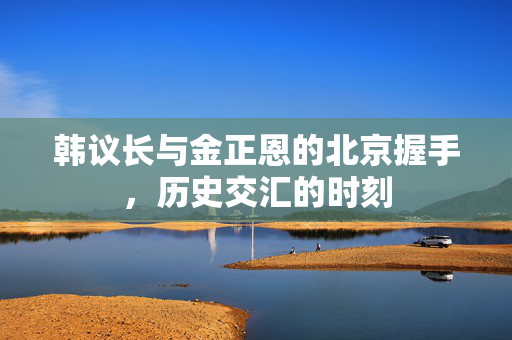 韩议长与金正恩的北京握手，历史交汇的时刻