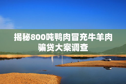 揭秘800吨鸭肉冒充牛羊肉骗贷大案调查