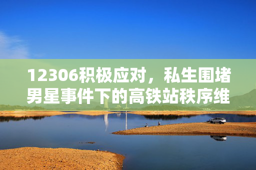 12306积极应对，私生围堵男星事件下的高铁站秩序维护