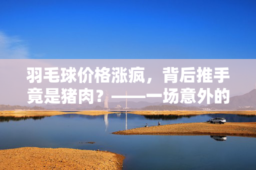 羽毛球价格涨疯，背后推手竟是猪肉？——一场意外的市场风波