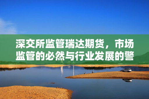 深交所监管瑞达期货，市场监管的必然与行业发展的警醒