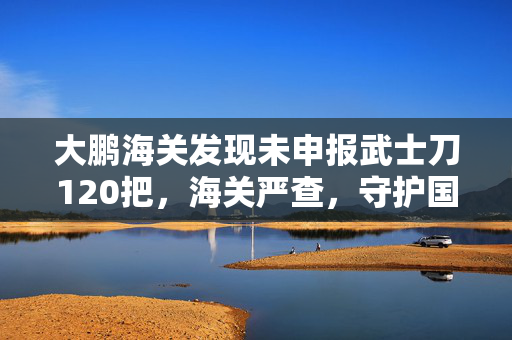 大鹏海关发现未申报武士刀120把，海关严查，守护国门安全